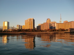 CIMG3147.JPG